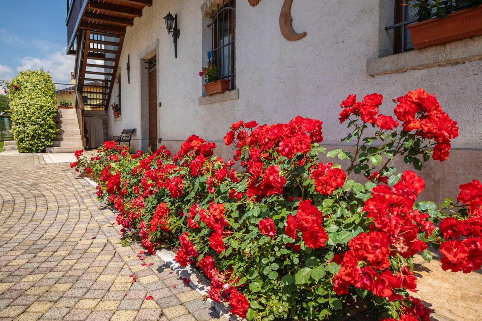 Casa Giovannella Фельтре Экстерьер фото